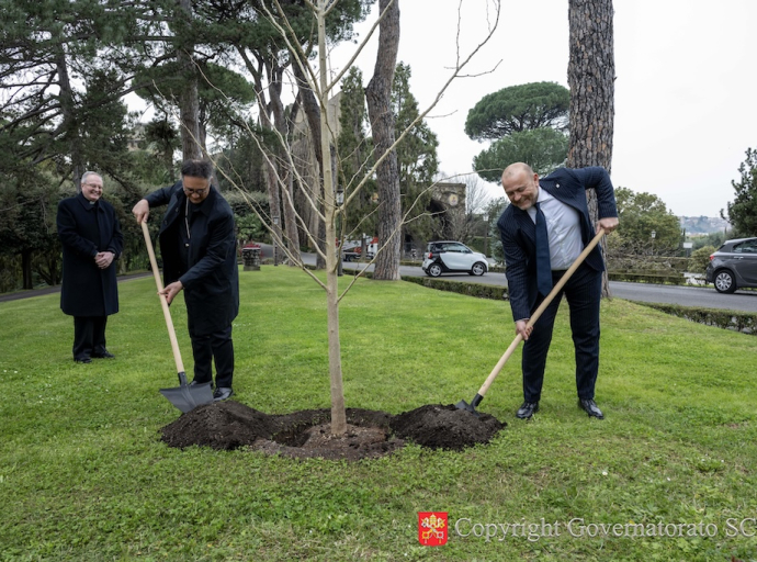 En los Jardines Vaticanos se ha plantado un árbol de Ginkgo biloba