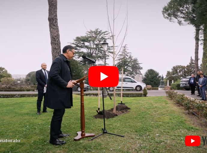 En los Jardines Vaticanos se ha plantado un árbol de Ginkgo biloba 