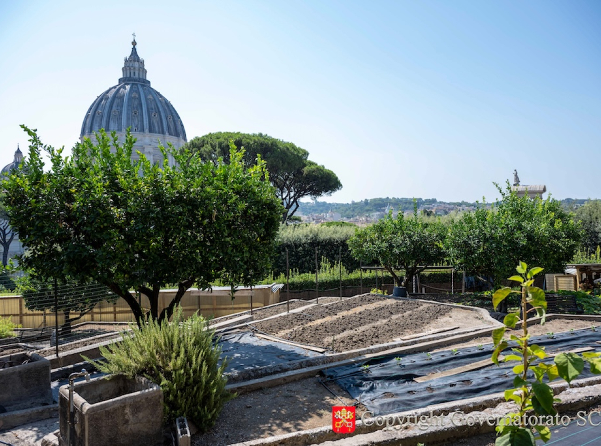 The Mater Ecclesiae Monastery Garden Becomes 100% Organic