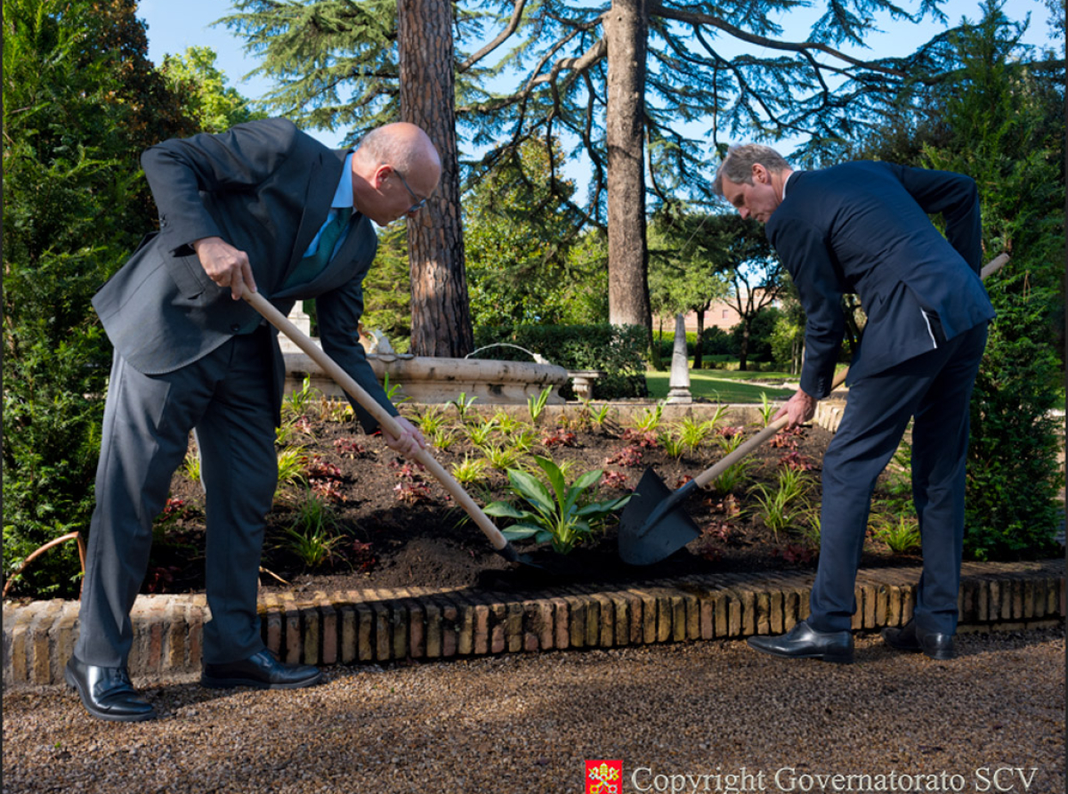 Des arbustes et des plantes des Pays-Bas plantés dans les Jardins du Vatican