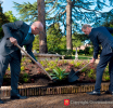 Nei Giardini Vaticani piantumati arbusti e piante dall’Olanda
