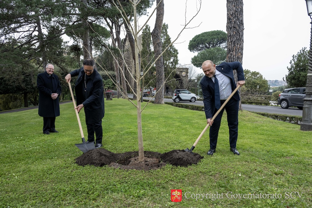 En los Jardines Vaticanos se ha plantado un árbol de Ginkgo biloba