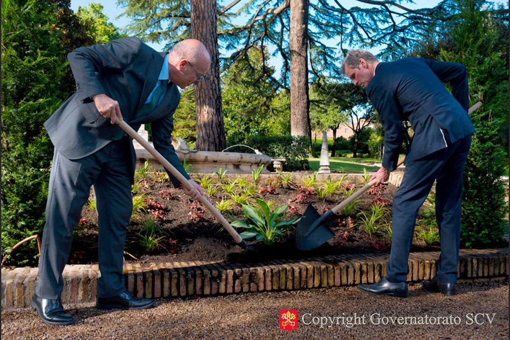 Shrubs and Plants from the Netherlands Planted in the Vatican Gardens