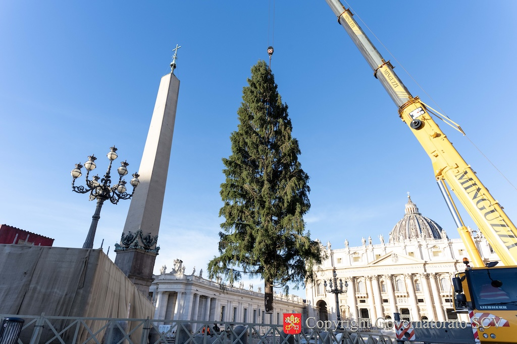 Giunto in Piazza San Pietro l’albero di Natale