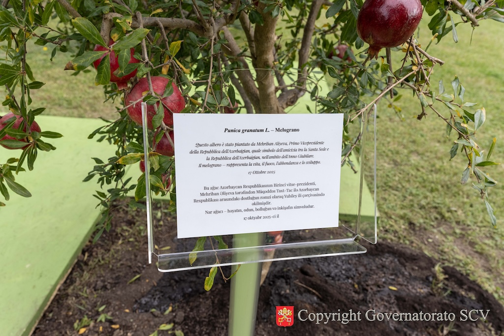 En los Jardines Vaticanos la plantación de un árbol de granada donado por Azerbaiyán 